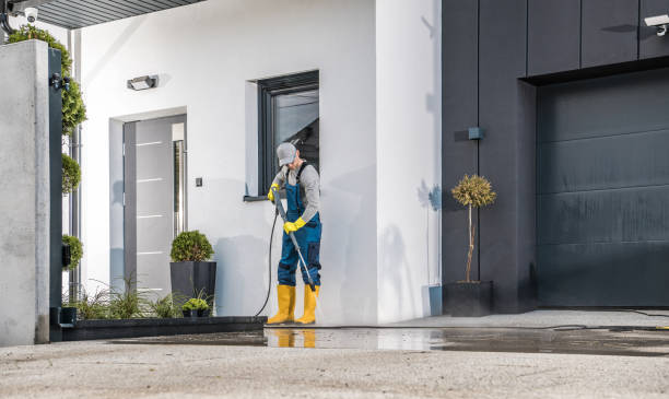 Best Residential Exterior Washing  in Mount Olive, MS